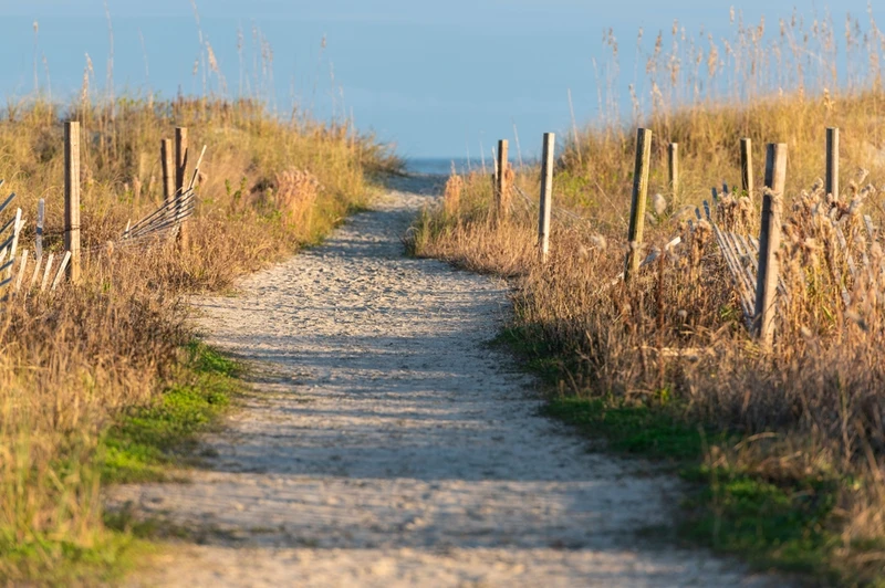 walking the area is one of the best free things to do in Isle of Palms