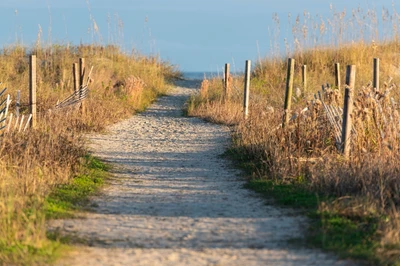 walking the area is one of the best free things to do in Isle of Palms