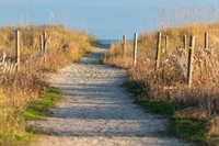 walking the area is one of the best free things to do in Isle of Palms