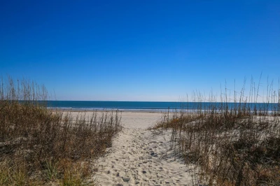 You can dip your toes in the sand within minutes of walking out of the home!